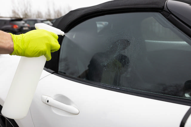 LSP 30 - Pulverizador manual 1 L