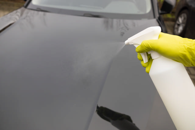 LSP 30 - Pulverizador manual 1 L