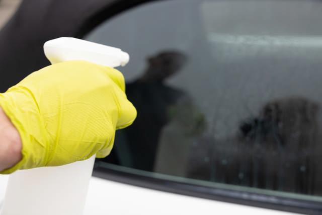 LSP 30 - Pulverizador manual 1 L