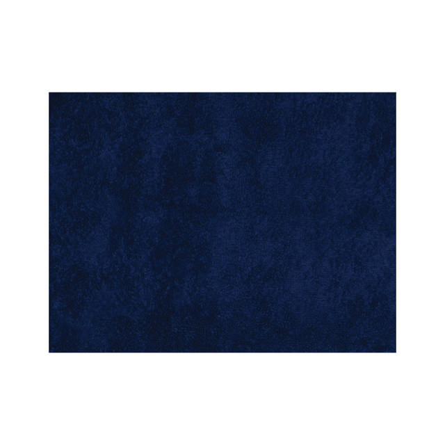 TWL 00 - Bayeta De Microfibras Grande