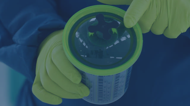 Almacenamiento sencillo del Green Paint System