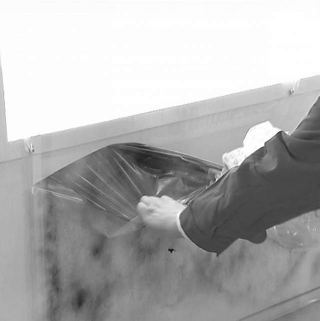 Schutz für Leuchten und Fenster