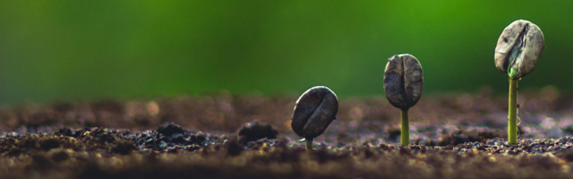 Andere umweltfreundliche Initiativen