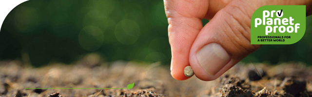 Wir Haben Einen Samen Gepflanzt